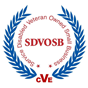 Service Disabled Veteran Owned Small Business