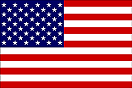 Service Disabled Veteran Owned Small Business
